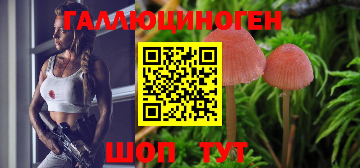Егорьевск  Псилоцибиновые грибы GOLDEN TEACHER  Вход с VPN 
