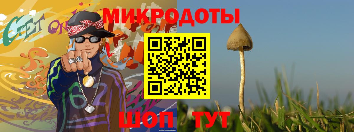 Псилоцибиновые грибы мухоморы Егорьевск
